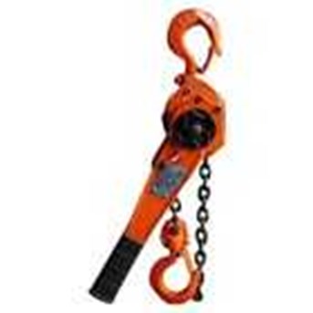 Hand Chain Hoists Lever Hoists Trolley Hoists