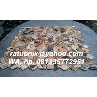 Mozaic Petrified Wood