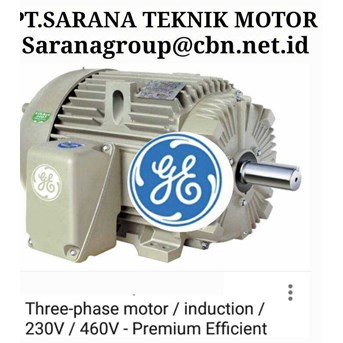 GE Explosion Proof Motor Electric Motor