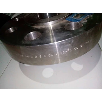 flange stainless steel-2