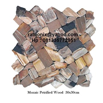 Mozaic Petrified Wood