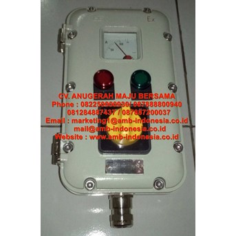 Local Control Station Ex Proof HRLM LBZ - A1D2K1 LCS