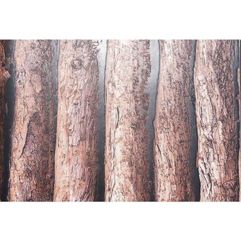 Wallpaper Dinding Kayu, Wallpaper Dinding Motif Kayu
