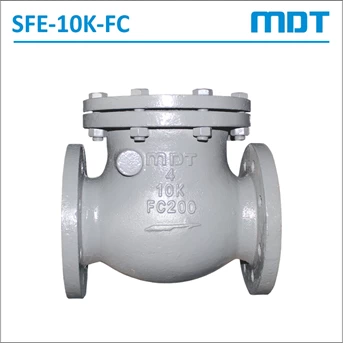 MDT | SFE-10K-FC | Swing Check Valve, FC200, 10K