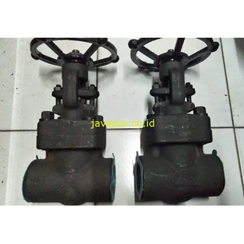Gate Valve Forged Steel A105 SW/Screw