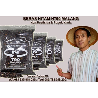 Beras Hitam Organik N790 Malang
