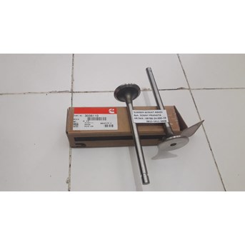 Cummins Exhaust Valve Diesel Engine Parts 3035110