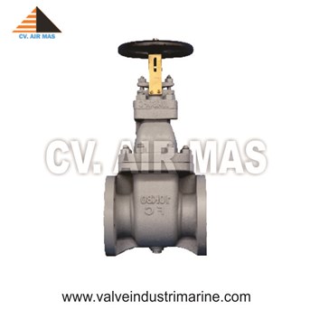 Globe Valve Case Iron