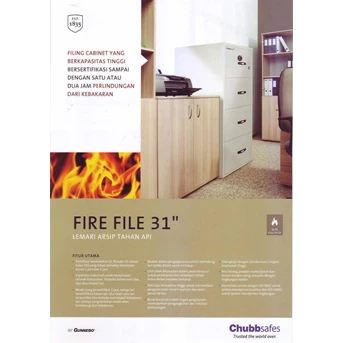 FIRE FILE 31