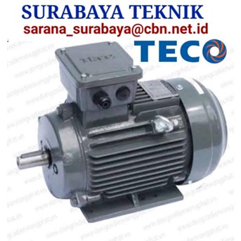 SURABAYA TEKNIK TECO MOTOR JAWA TIMUR