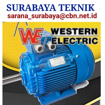 WESTERN ELECTRIC MOTOR