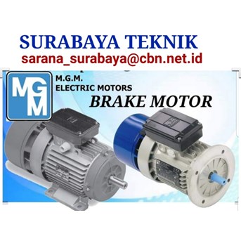 MGM BRAKE MOTOR