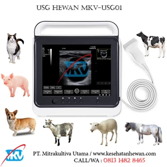 USG Hewan MKV-USG01