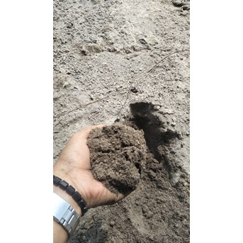 PASIR PASANG