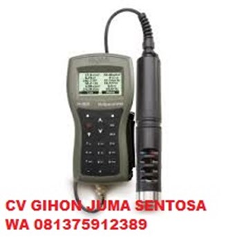 HANNA HI9829 GPS with 10 Meter Cable Water Quality Meter