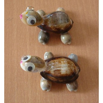 Black Cowrie Shell Toys / Mainan Hewan Cowrie Hitam Dari Kerang