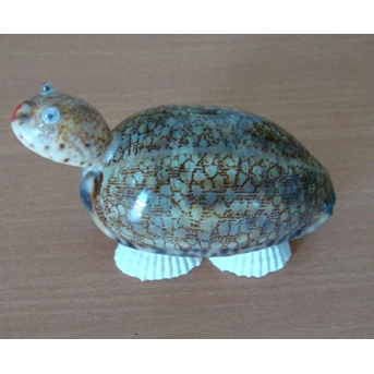Turtle Ornament Crafts From Seashell / Kerajinan Ornamen Penyu Dari Kerang Laut