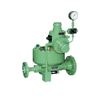 RMG 200 Gas Pressure Regulator
