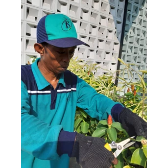 gardener termurah di palmerah