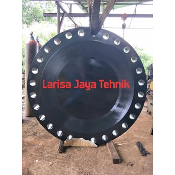 blind flange stainless/carbon stell