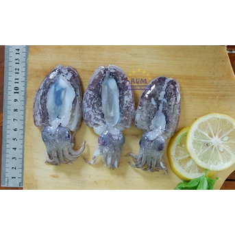 Baby Cuttlefish Rum