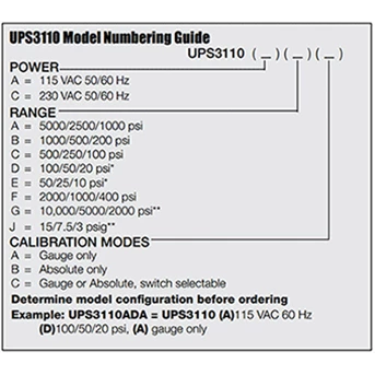 ups3110 digital pressure standard (calibrator)-1
