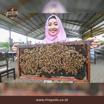 wisata edukasi lebah madu-2