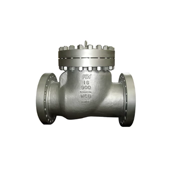 fbv swing check valve-1