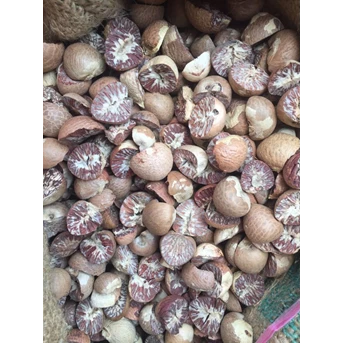 pinang atau betel nut-1