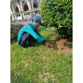 Perawatan Taman di Masjid JABODETABEK