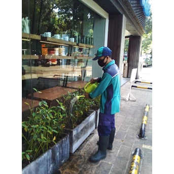 Perawatan Taman di Cafe Jakarta