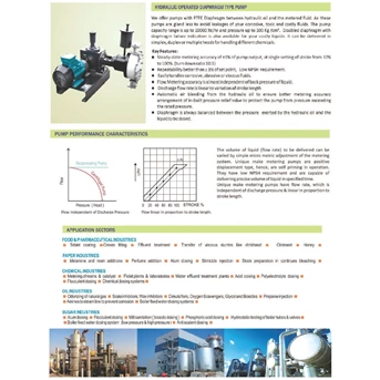 pompa dosing udh 2020 hydraulic diaphragm pump 164 lph 7 bar - 1 inci-5