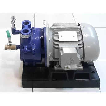 pompa vakum liquid ring monoblok ftm-1 - 20 m3/h 1 hp 2900 rpm-4