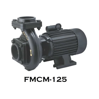 Centrifugal Monoblock Water Pump FMCM-125 Pompa Air - 1 Inci