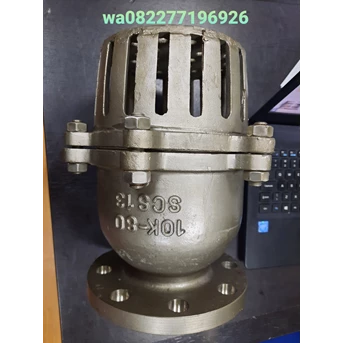 Foot valve SS316 Flange Jis 10K