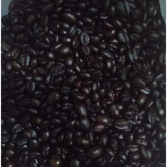 mengsupply kopi robusta-3