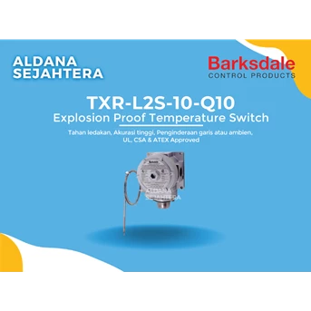 barksdale explosion proof temperature switch, txr-l2s-10-q10