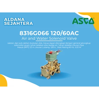 ASCO AIR AND WATER SOLENOID VALVE (8316G066 120/60AC)