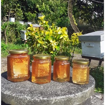 madu sarang / honey comb / pure honey kemasan hexagonal kaca-3