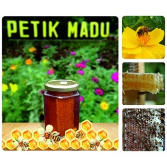 Madu Sarang / Honey Comb / Pure Honey 350gram kemasan Toples Hexa