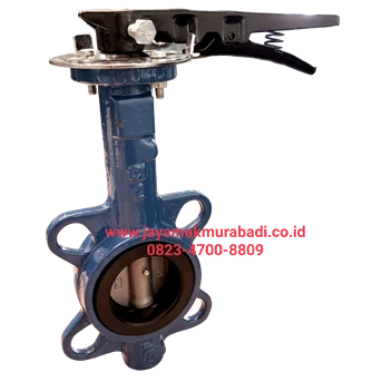plumbing butterfly valve gate valve samarinda kirim luar kota