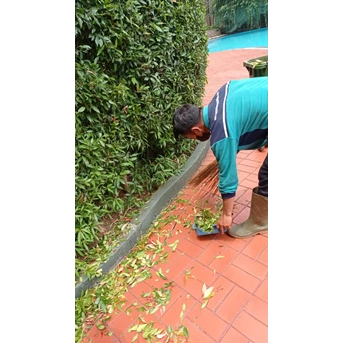 perawatan taman membersihkan tanaman di amartapura