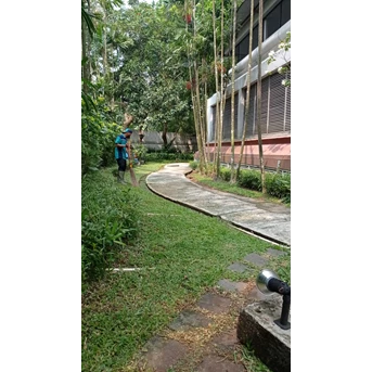 perawatan taman menyapu daun kering di amartapura 13 4 2022