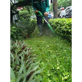 Perawatan taman memotong rumput di Kebun Jeruk 22.04.2022