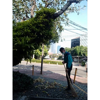 perawatan taman membersihkan daun kering di gardener sarirasa 25/04/22