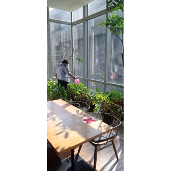 perawatan taman meyira tanaman dekat kaca di plaza indonesia