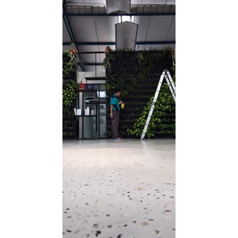 Office Boy/Girl Menyiram tanaman pagi di PT Mechtron Mastevi In