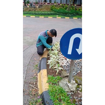 Perawatan taman membersihkan tanaman liar Di Amartapura 19/05/2022