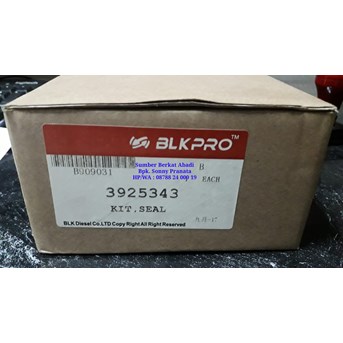 BLK 3925343 FRONT CRANK SEAL KIT