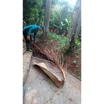 Perawatan taman membersihkan daun kering di Amartapura 30/05/2022